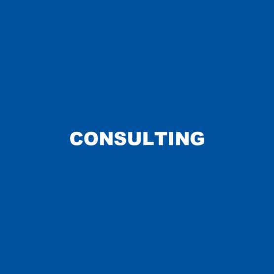 Consulting-555x555 Consulting  